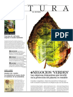 Rae Negocios Verdes PDF