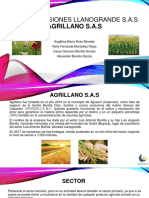 Exposición Agrillano