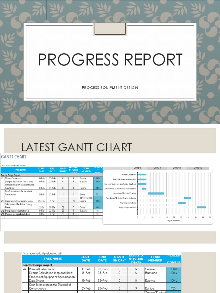 Equipment Design Progress Report | PDF | Technology & Engineering