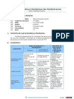 Plan de Desarrollo Profesional Del Profesor Novel