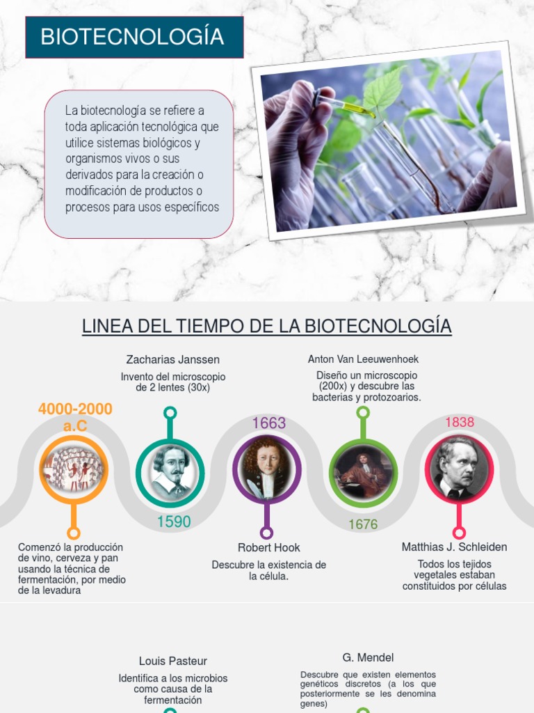 Línea del tiempo de la biotecnología | PDF | Adn | Biotecnología