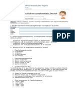 PAPELUCHO 1.pdf