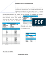 INDUSTRIALIZACION DEL GN.docx