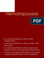 Hematopoyesis