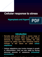 Hyperplasia and Hypertrophy