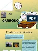 Ciclo Del Carbono