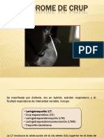 Sx. Crup PDF