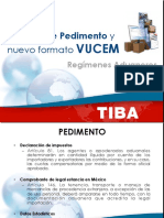 Llenado de Pedimento PDF