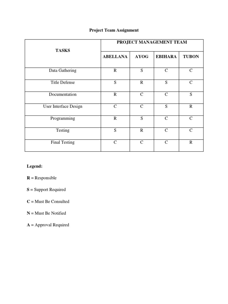 Project Team Roles and Responsibilities | PDF