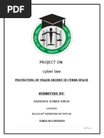 Cyber Law F.D