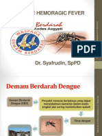 Dengue Hemoragic Fever