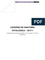 Anatomia pulmonar e doenças do tabagismo