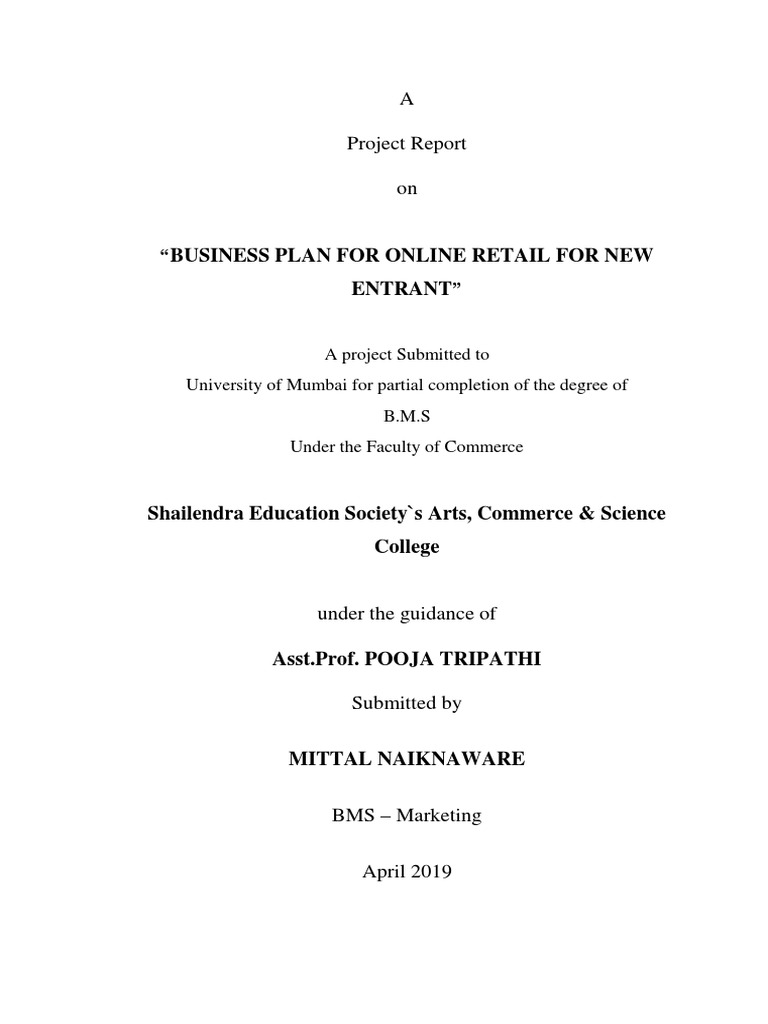 Online Retail Business Plan Report | PDF | E Commerce | Online Shopping