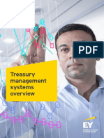 EY-treasury-management-systems-overview.pdf