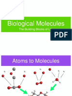 Biological Molecules: The Building Blocks of Life