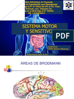 SISTEMA PIRAMIDAL Y SENSITIVO.pptx