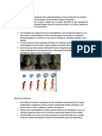 ANTROPOLOGIA 054.docx