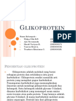 GliKo Protein