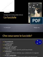 1 Le Lucciole PDF
