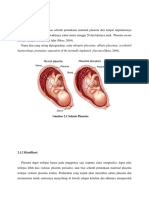 Solutio Placenta