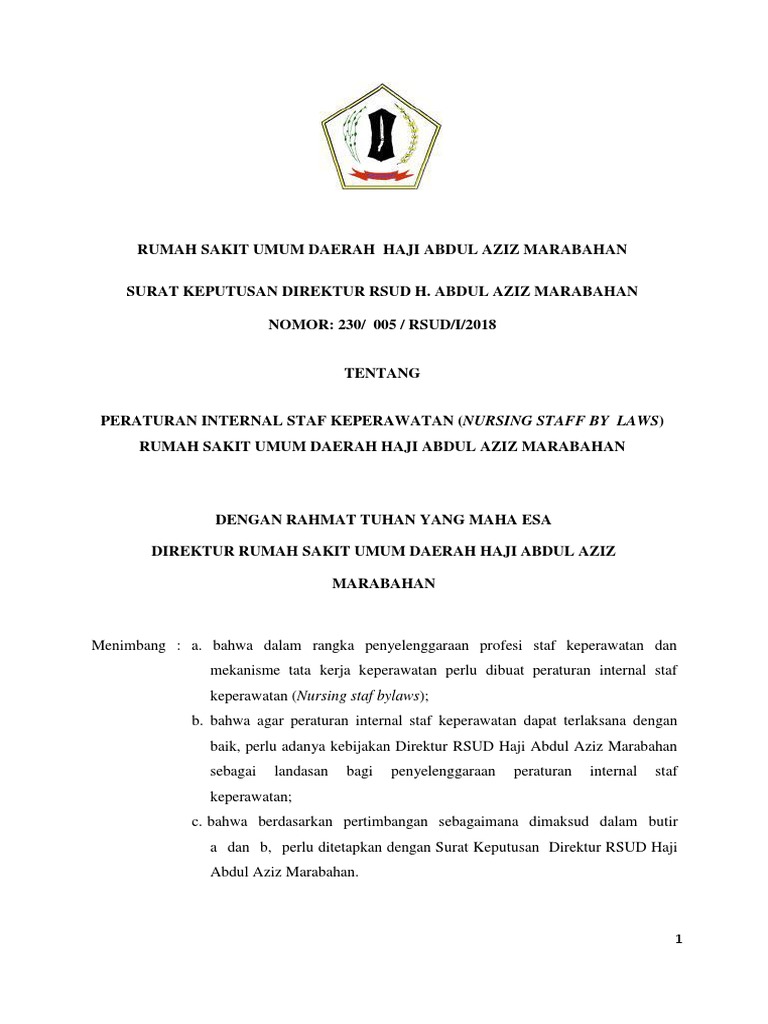 Nursing by Laws RSUD H. Abdul Aziz Marabahan Revisi PDF
