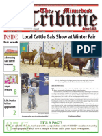 Local Cattle Gals Show at Winter Fair: Tribune Tribune