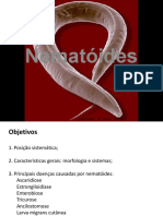 Nematoides 2012