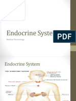 Endocrine System: Medical Terminology
