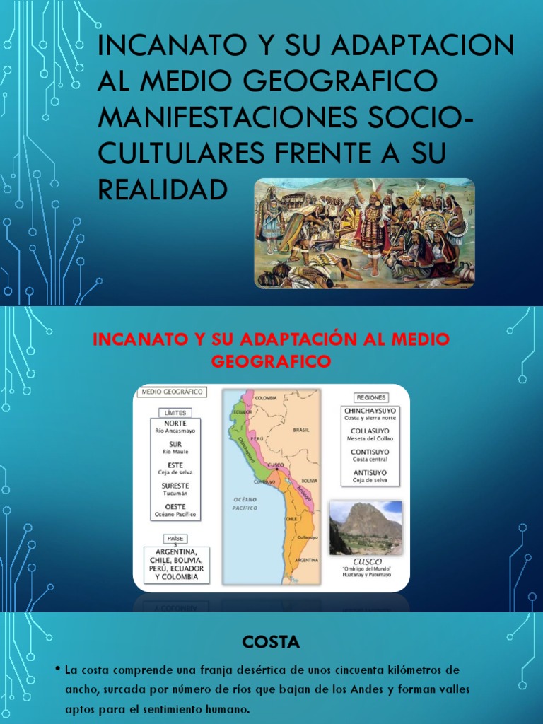 Incanato: Adaptación y Cultura Incaica | PDF | Imperio Inca | Agricultura