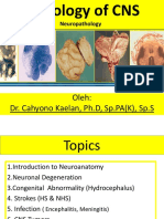 Dr. Cahyono K, PH.D, SP - PA, SP.S - Patologi Anatomi Neurofisiologi PDF