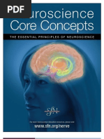 Download SfN Neuroscience Core Concepts2 by Carmo Medeiros SN40506126 doc pdf