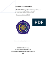 Kronis Jurnal Individu