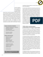 Vol2 n2 6 PDF