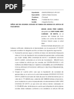 alegatos escritos.docx