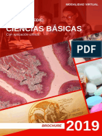 Brochure CienciasBásicas2019