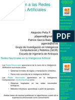 introduccionrn-101215075149-phpapp02.pdf