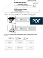 evaluacion sentidos.docx