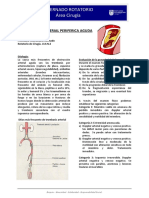 OBSTRUCCION ARTERIAL PERIFERICA AGUDA.docx