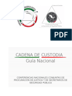 VF10GuaNacionalCadenadeustodia28-10-2015.doc