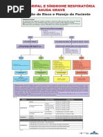 Cartaz Classificacao Risco SG SRAG 2018