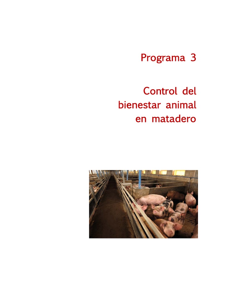 P3 Bienestar Animal | PDF | Matadero | Bienestar de los animales