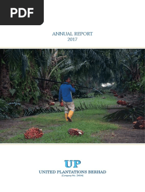 Annual Report 2017 Pdf Dividend Equity Finance