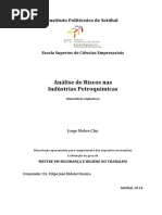 analise de riscos ind petroquimica.pdf