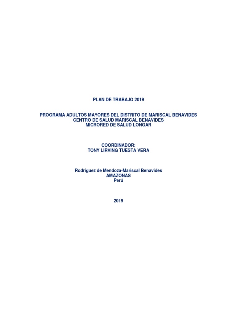 Plan de Trabajo para Adultos Mayores 2019 | PDF | Adultos | Vejez