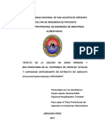 Tesis de Sancayo PDF
