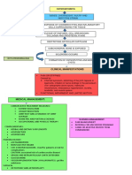 osteoarthritis.docx