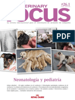 Veterinaryfocus261esp8febcompleta PDF