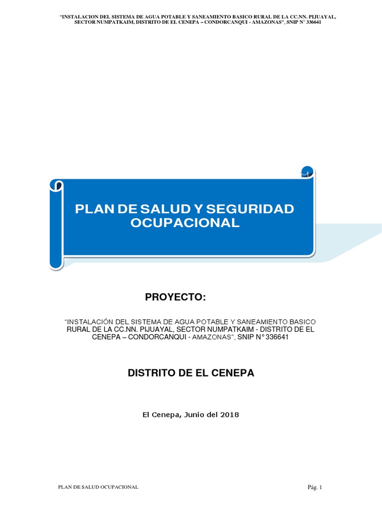 Plan de Seguridad y Salud Ocupacional | PDF | Evaluación de riesgos ...