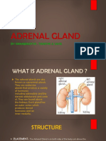 Adrenal Gland: by Vikramaditya, Tanishk & Sahil