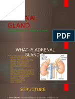 Adrenal Gland: by Vikramaditya, Tanishk & Sahil